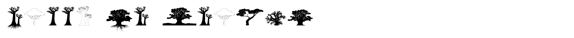 Bäume von Afrika